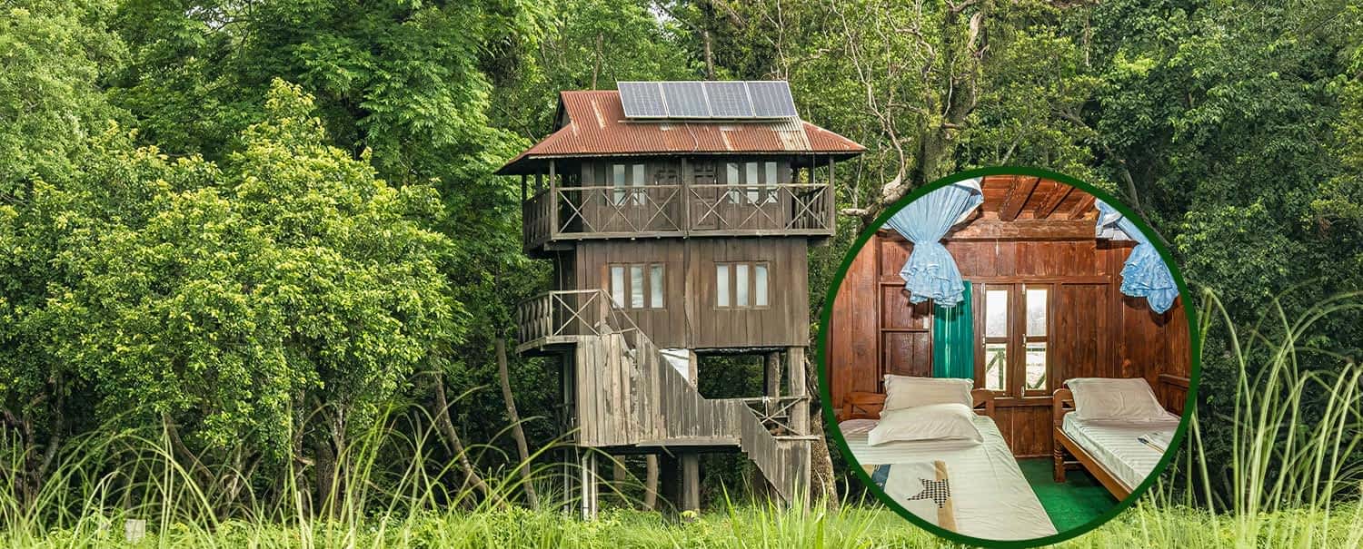 discover-special-deals-tower-night-stay-in-jungle