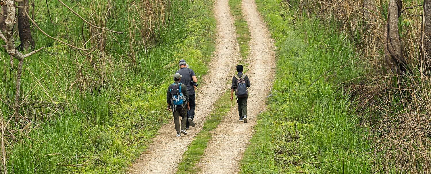 nepal-heritage-discoveries-jungle-walk-in-chitwan-national-park