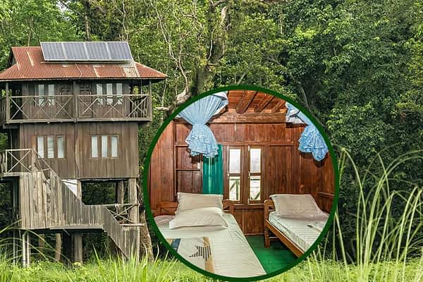 discover-special-deals-tower-night-stay-in-jungle