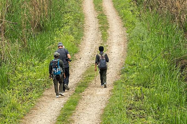 nepal-heritage-discoveries-jungle-walk-in-chitwan-national-park