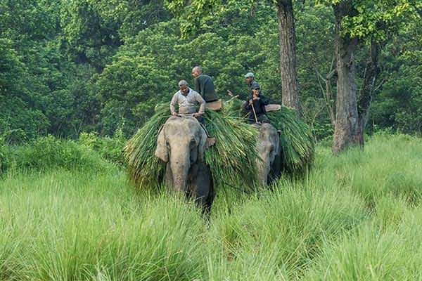 hotel-riverside-activities-elephant-breeding-center-visit hotel-riverside-activities-elephant-breeding-center-visit