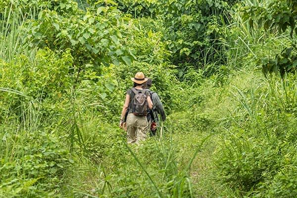 hotel-riverside-activities-jungle-walk hotel-riverside-activities-jungle-walk