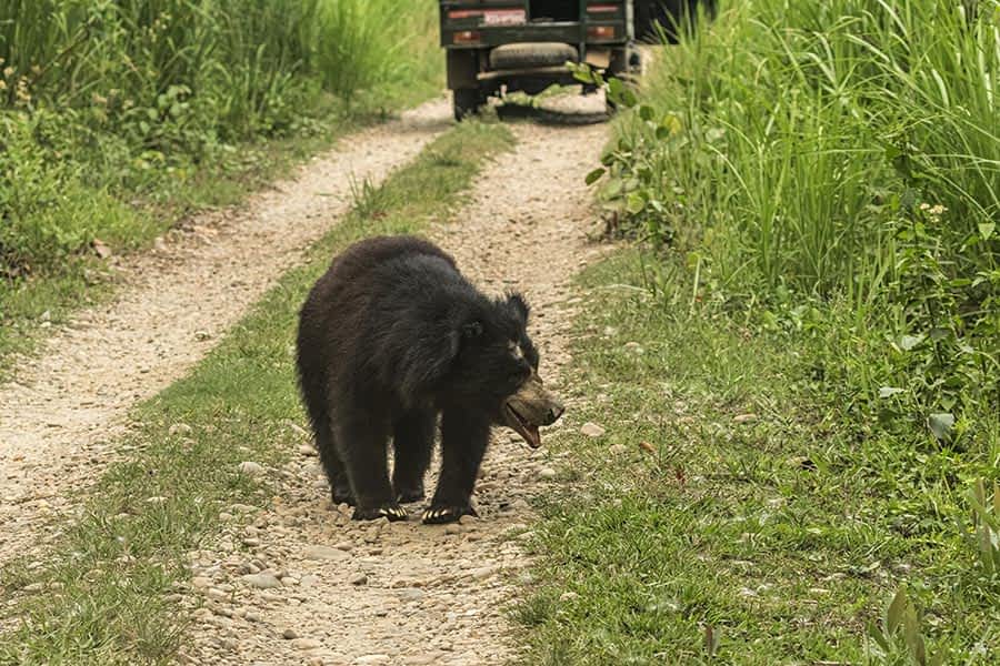wildlife-expeditions-small wildlife-expeditions